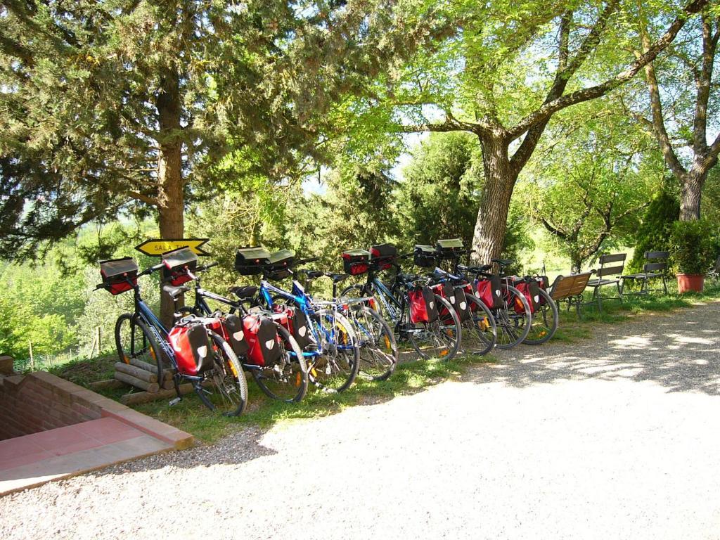 Fattoria Pieve A Salti Villa Buonconvento Exterior photo